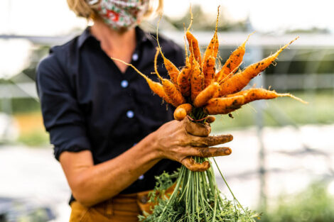 Lisa Miskelly, in a mask, gathers a bunch of carrots.