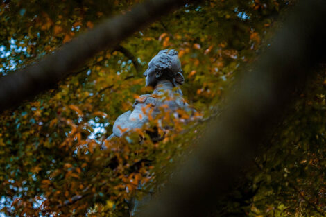fall leaves and the statue of the Marquis