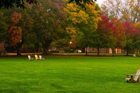 empty chairs on the Quad with fall foliage