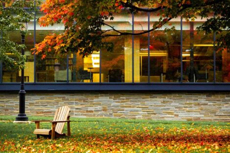 empty chair on the Quad with leaves on the ground and Skillman in background