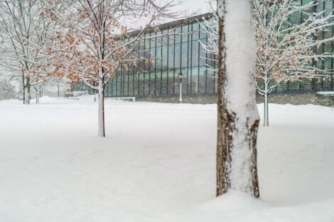 Skillman Library surrounded by a blanket of snow