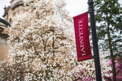 A tree with white flowers in front of a pole with a maroon flag that reads Lafayette