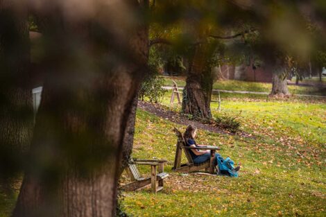 student sits on an Adirondack chair, green grass and trees