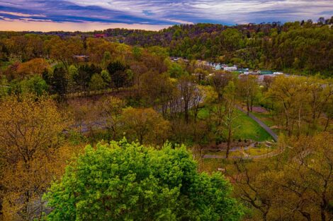 view of fall foliage on College Hill from high vantage point overlooking town