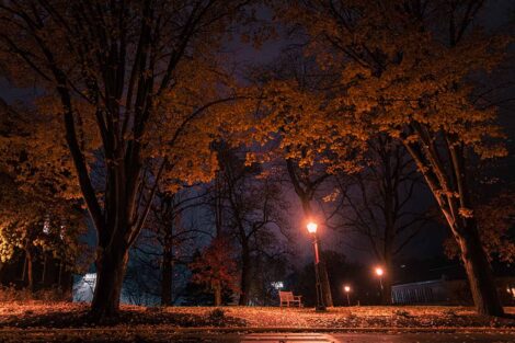 nighttime on campus, street light illuminates pathway with bench, fall foliage and leaves on ground