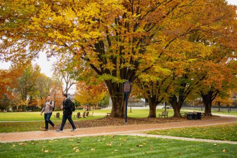 Golden fall foliage on the Quad, two students walk on a path