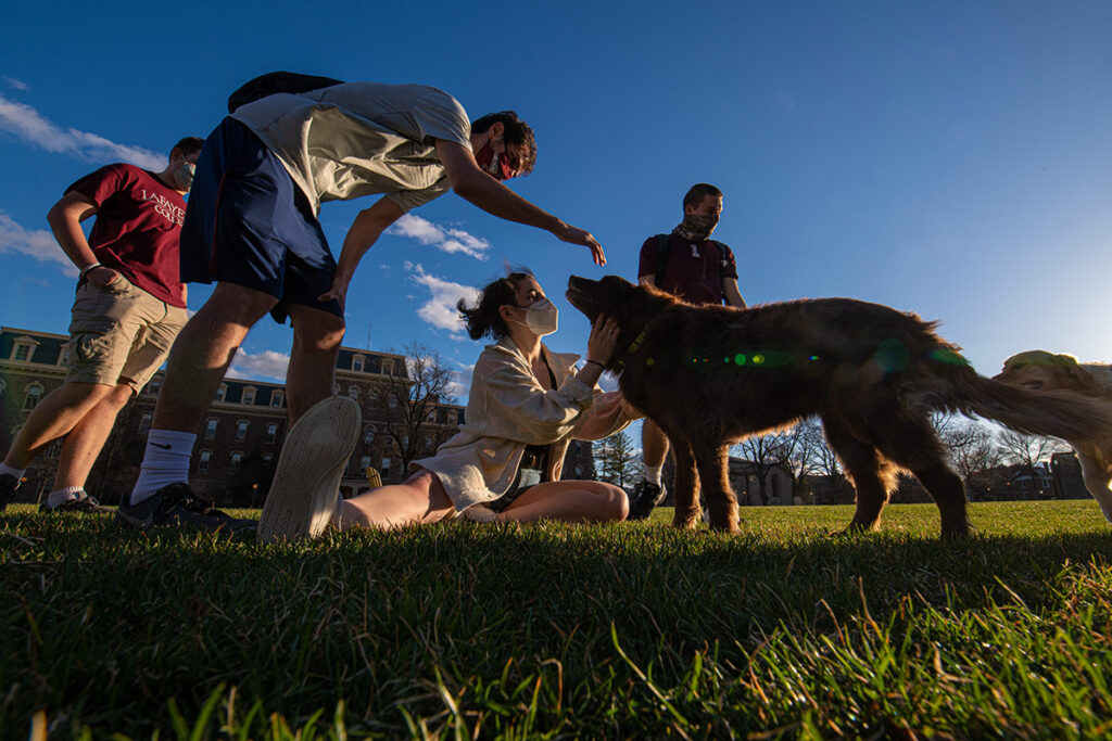 Students, masked, pet a golden retriever on the Quad.