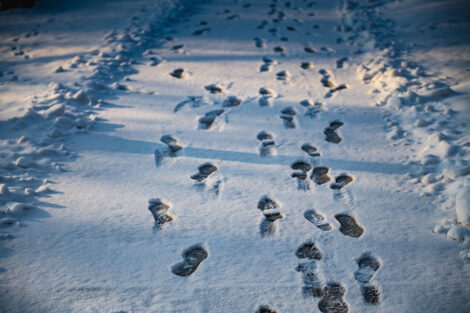A snowy pathway with footprints.