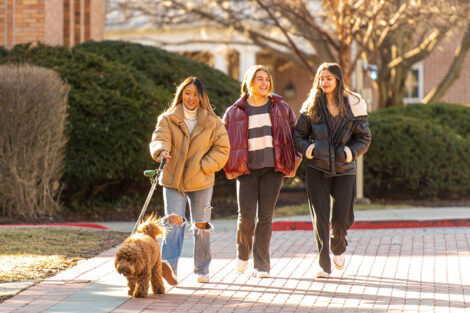 three students walk a dog on campus