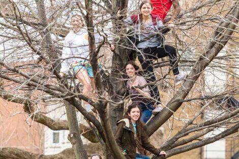 students climb a tree on the Quad