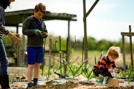 two children plant sunflower seeds in a garden bed at LaFarm