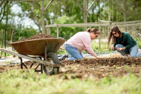 two community members plant sunflower seeds in the dirt at LaFarm