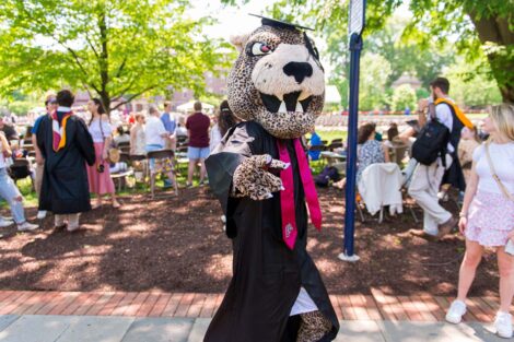 leopard mascot in cap and gown points at the camera