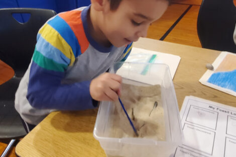 A Paxinosa first-grade boy digs in his fossil box during the Connected Classrooms program