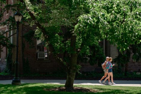 two students walk together on campus, sun shines down through the green leaves in a tree