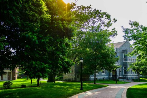 Hogg Hall and green trees are captured in early morning light