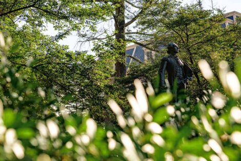 the Marquis de Lafayette statue near Colton Chapel is framed by greenery
