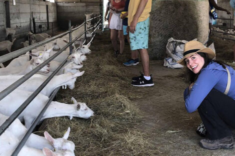 Prof. Tamara Carley and Study Abroad Italy students visit with goats on a goat cheese farm