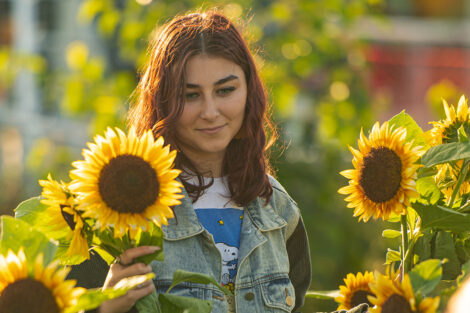 A student picks sunflowers.
