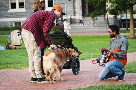 A community member's dog greets people on the brick path of the Quad.