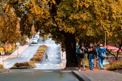 Students walk past beautifully colored trees.