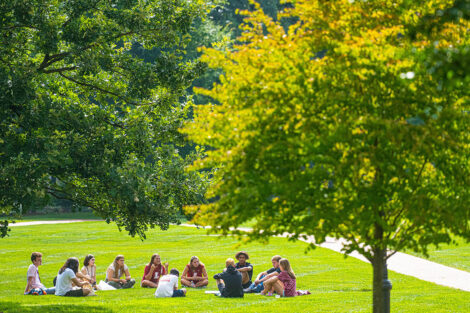 Students sit on the grassy Quad.