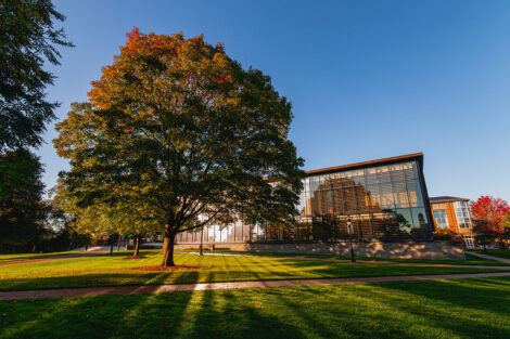 The sun shines through a tree in front of Skillman Library on the Quad.
