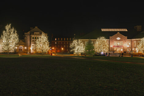 Lights on a tree on the Quad, surrounded by campus buildings.