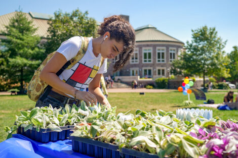 A student looks for a plant