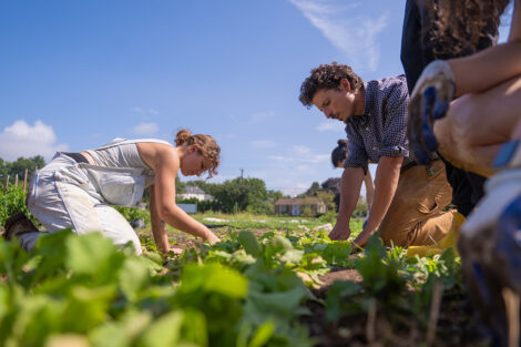 Students tend to produce at LaFarm.