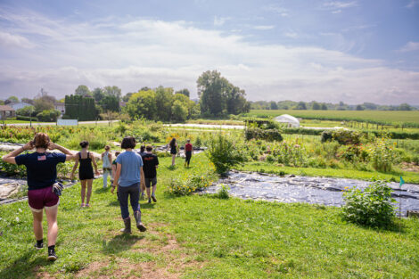 Students tend to produce at LaFarm.