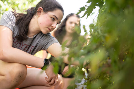 A student tends to produce at LaFarm.