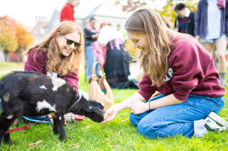 Two students are feeding a baby goat on the Quad.