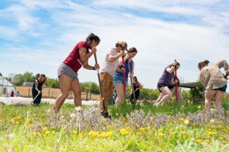 Students prepare the soil for planting at LaFarm | Photo by JaQuan Alston