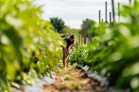 POSP student plowing soil on LaFarm