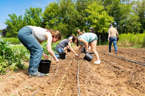 POSP students sowing seeds on LaFarm