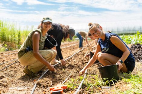 POSP students sowing seeds on LaFarm