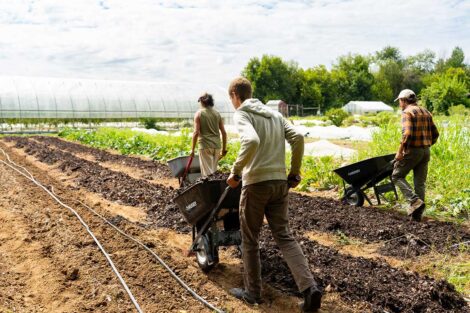 POSP students pushing wheelbarrows on LaFarm