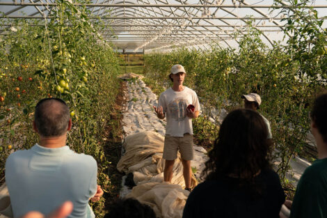 Attendees stand in a greenhouse full of tomatoes on LaFarm and listen to the sustainability tour.