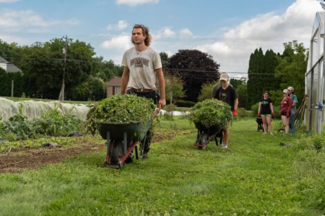 Students in POSP help at LaFarm by moving wheelbarrows of plants across the field.