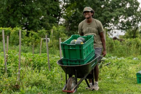 A student pushes a wheelbarrow through LaFarm.