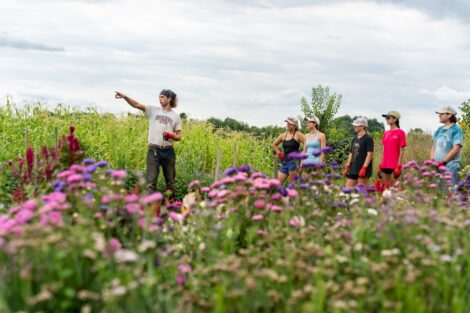 Lafayette students work in the field at LaFarm with colorful flowers in the foreground.